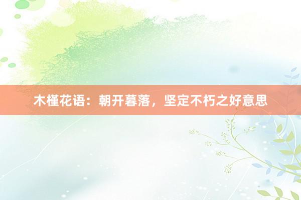 木槿花语：朝开暮落，坚定不朽之好意思