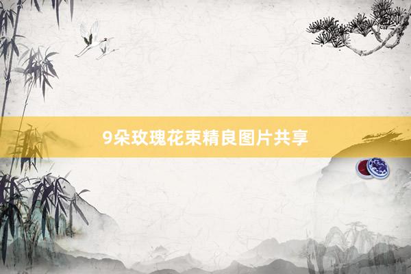 9朵玫瑰花束精良图片共享